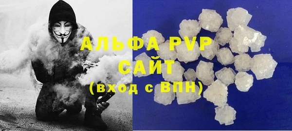 стафф Алзамай