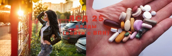 стаф Абинск