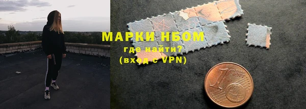 гидра Абаза