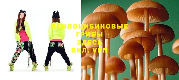 гидра Абаза