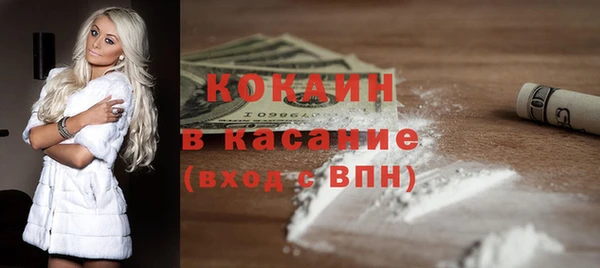гидра Абаза