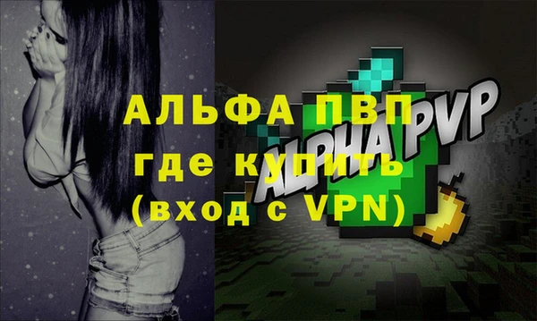 гидра Абаза