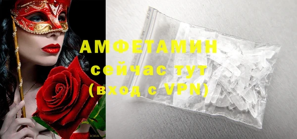 гидра Абаза
